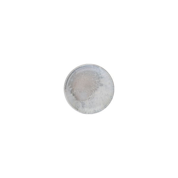 ID Fine Surf Lona Deep Plate 15 cm – 240 cc
