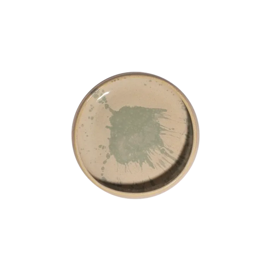 Limette Celesta Deep Plate 22 cm 1200 cc